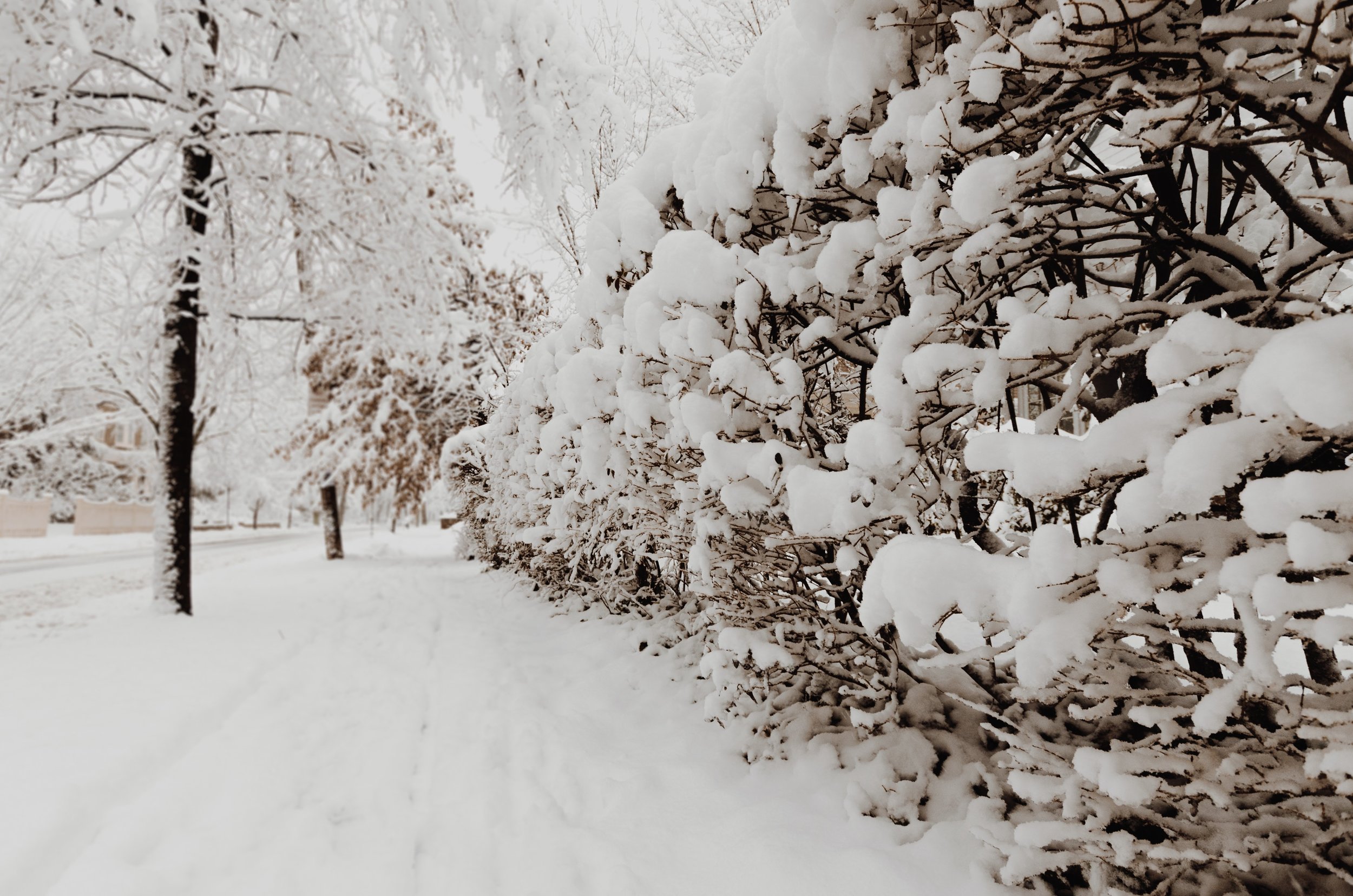 Snow Changes Everything