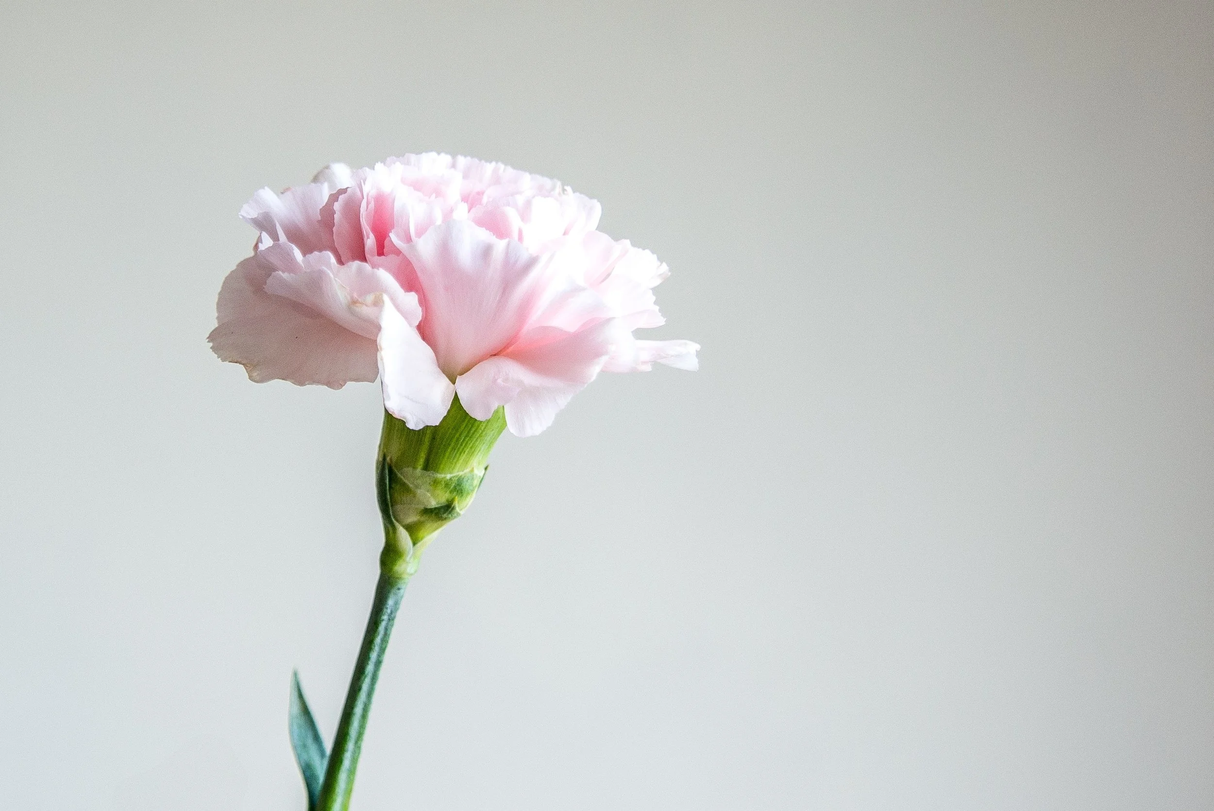 1st Mother's Day Without My Mom