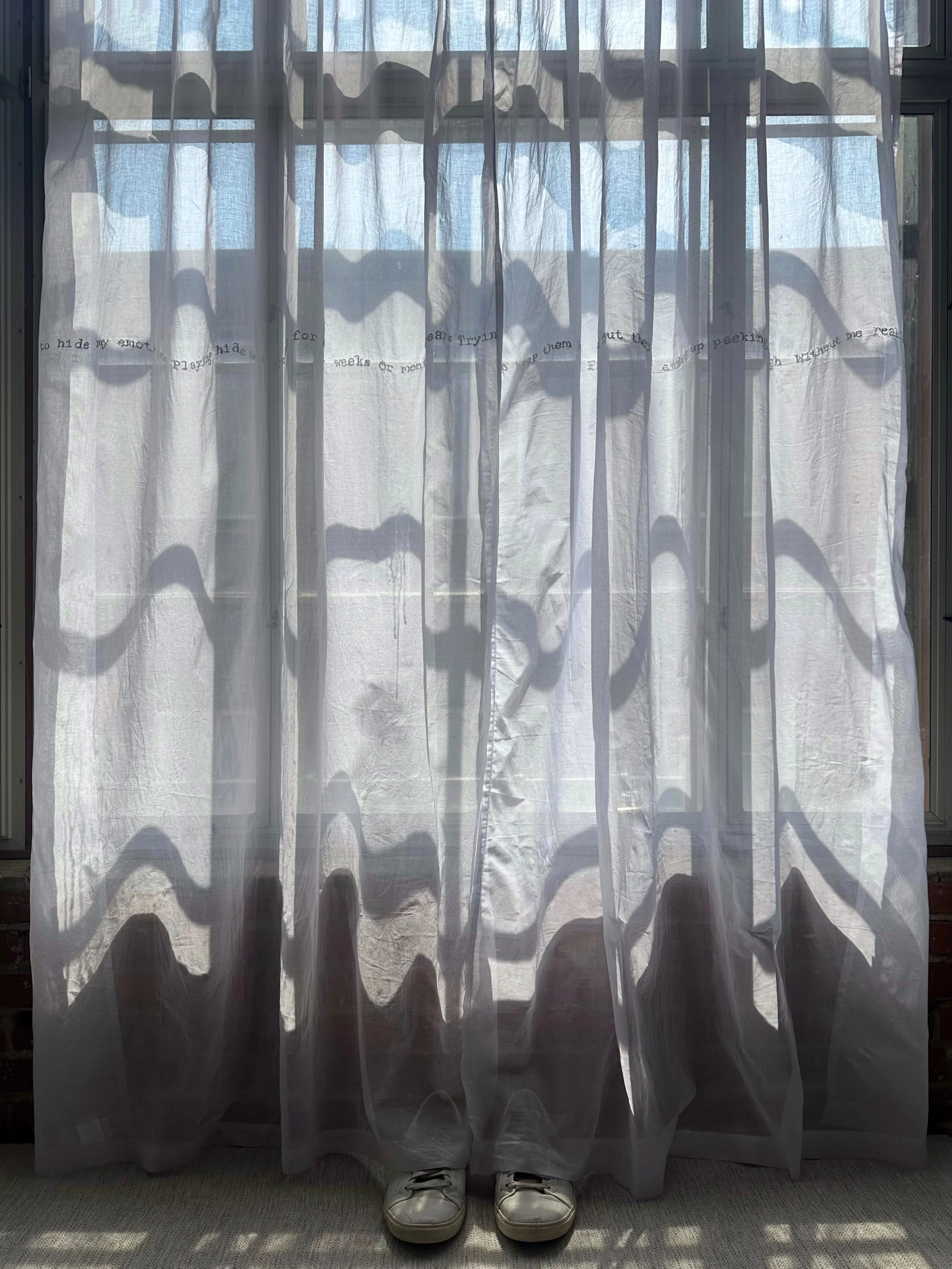  Embroidered sheer curtains, my shoes  96 × 108” 