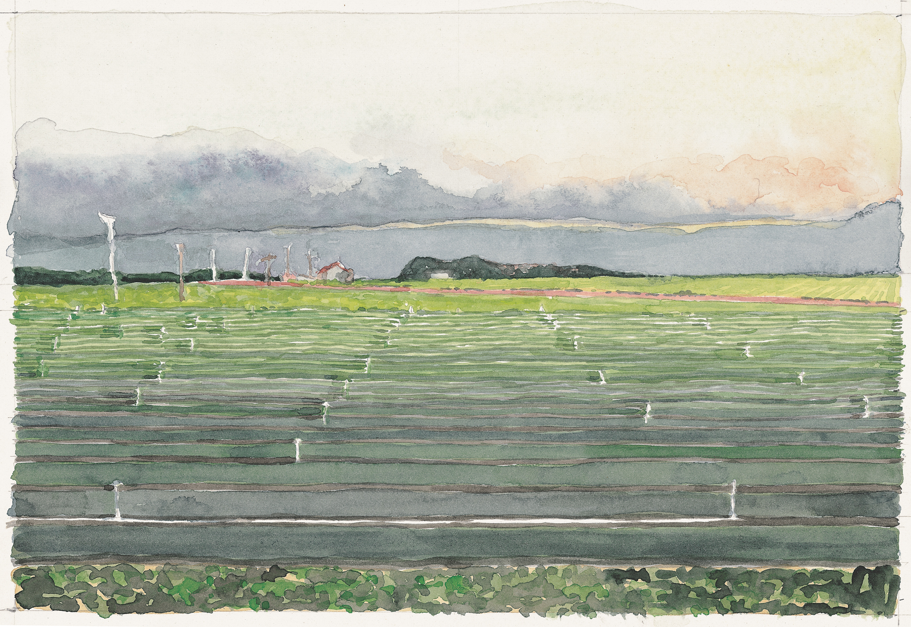 Artichoke field with Mulligan Hill