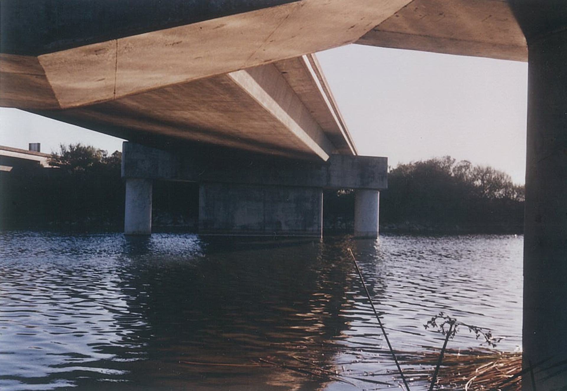 Underneath Hwy. 1 at the Mouth