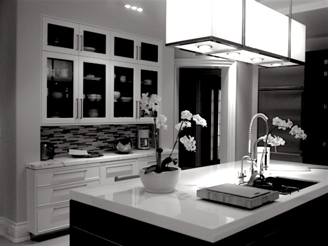 BW CONTEMP KITCHEN.jpeg