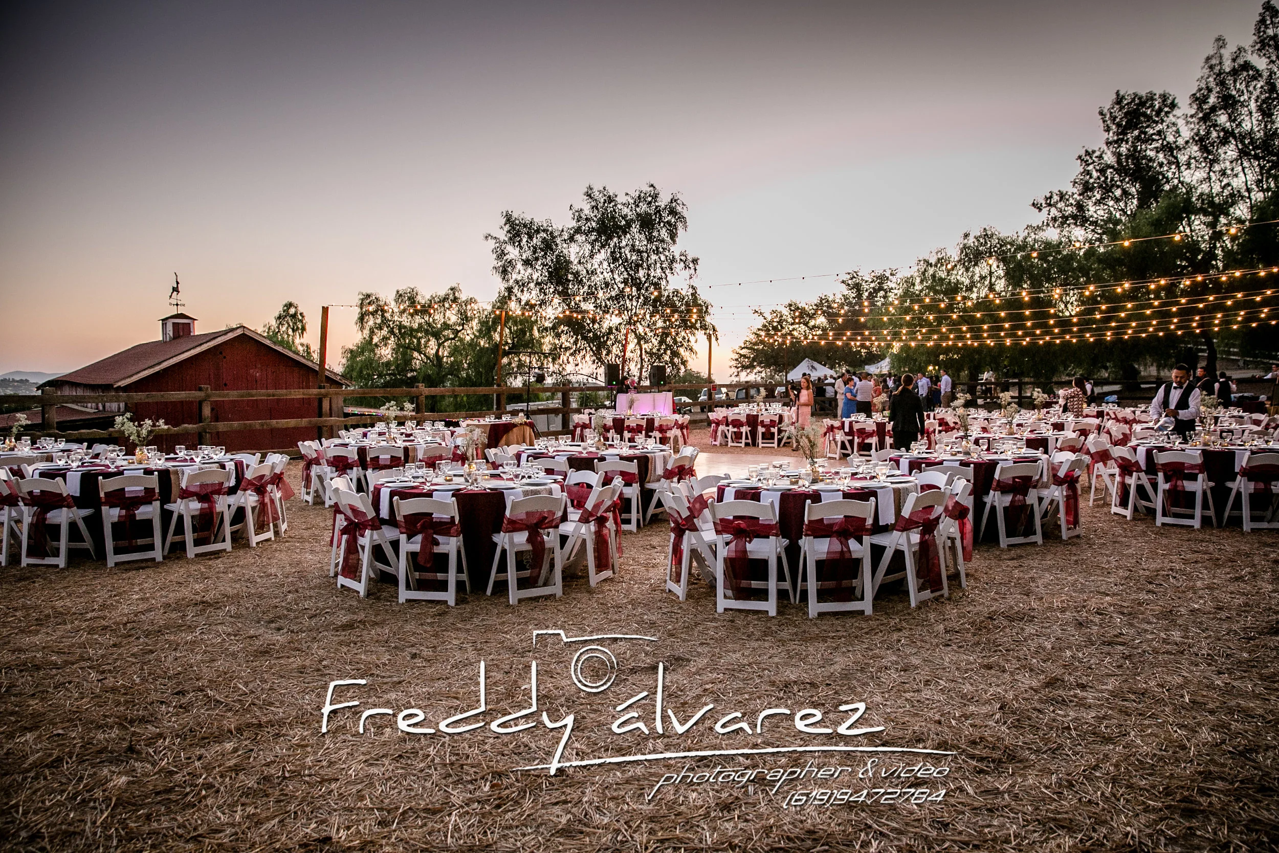 Wedd A&P-134.jpg
