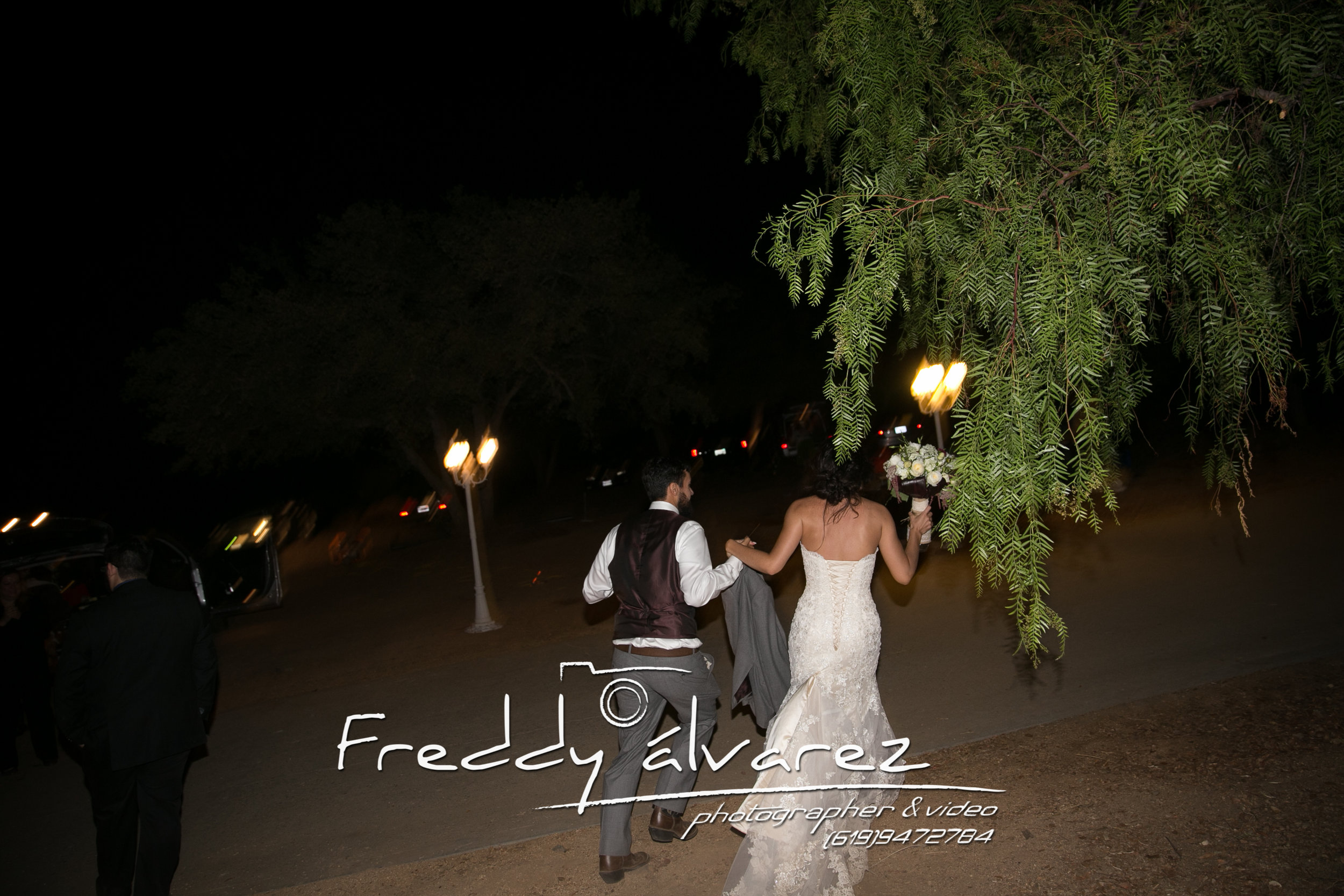 Wedd A&P-157.jpg