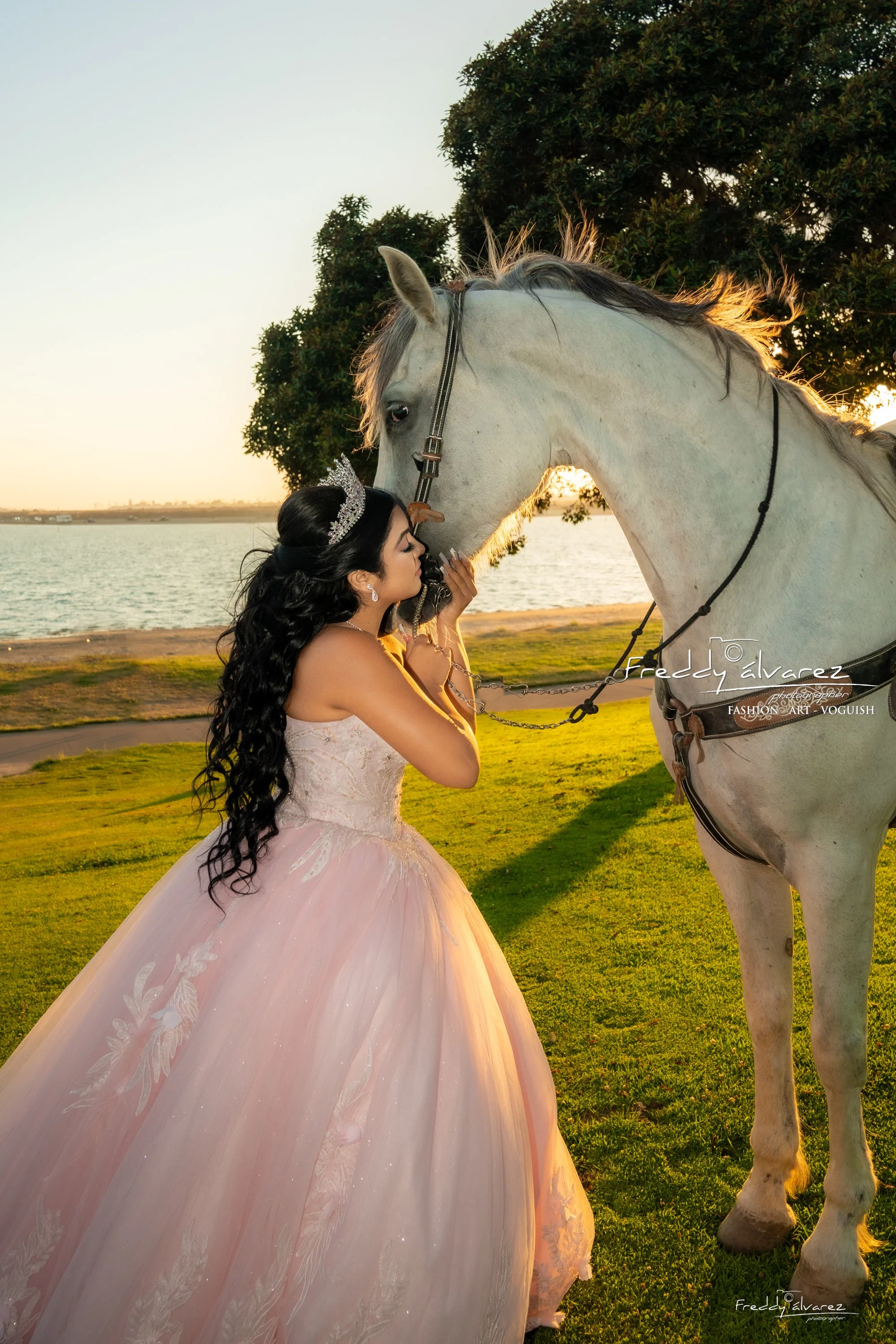 mario para pantallas45.JPG