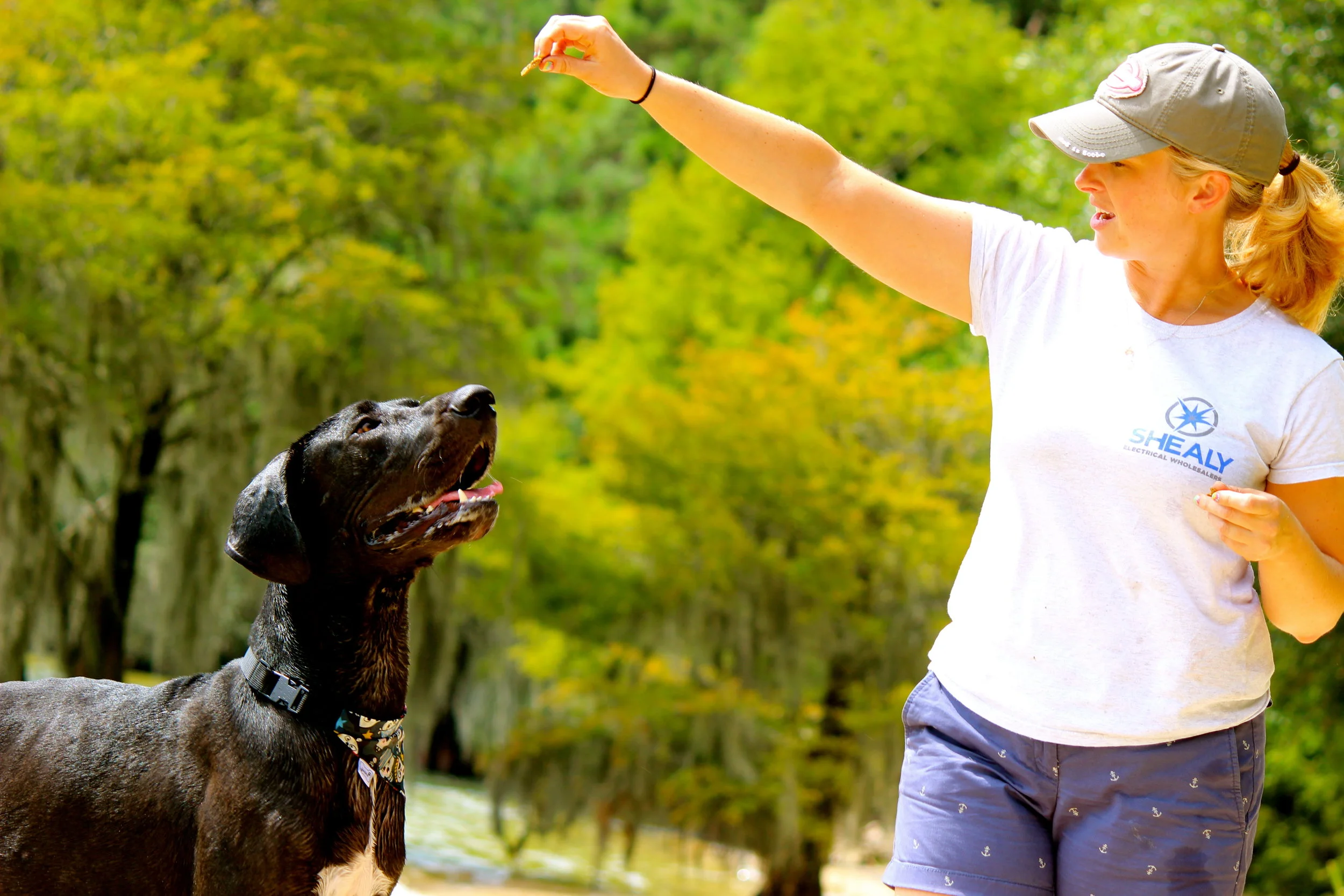 Water's Edge Great Dane Rescue