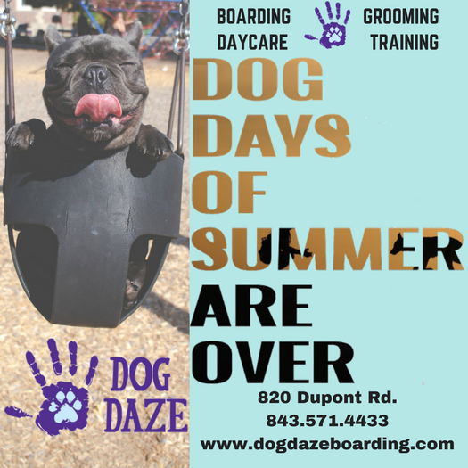 Dog Daze Ad NEW.png