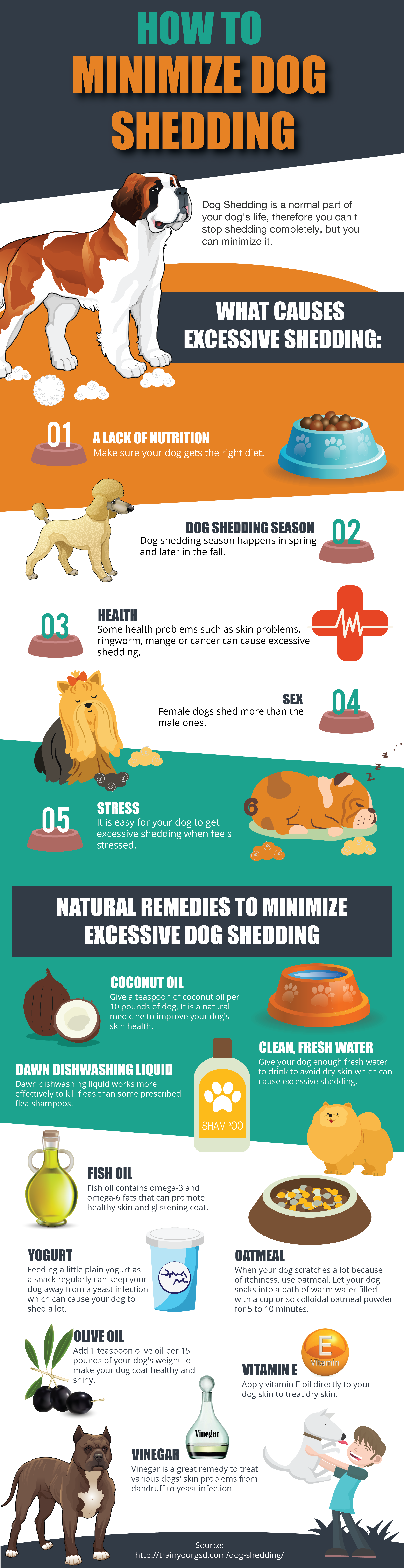 reduce dog shedding