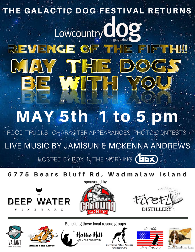 MAY THE DOGS BE WITH YOU FESTIVAL