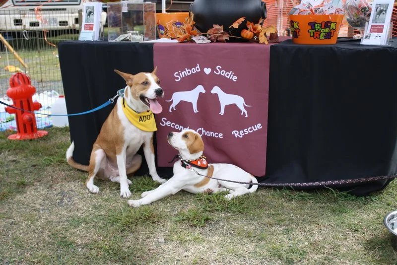 Sinbad-Sadie Will Merge Into Pet Helpers