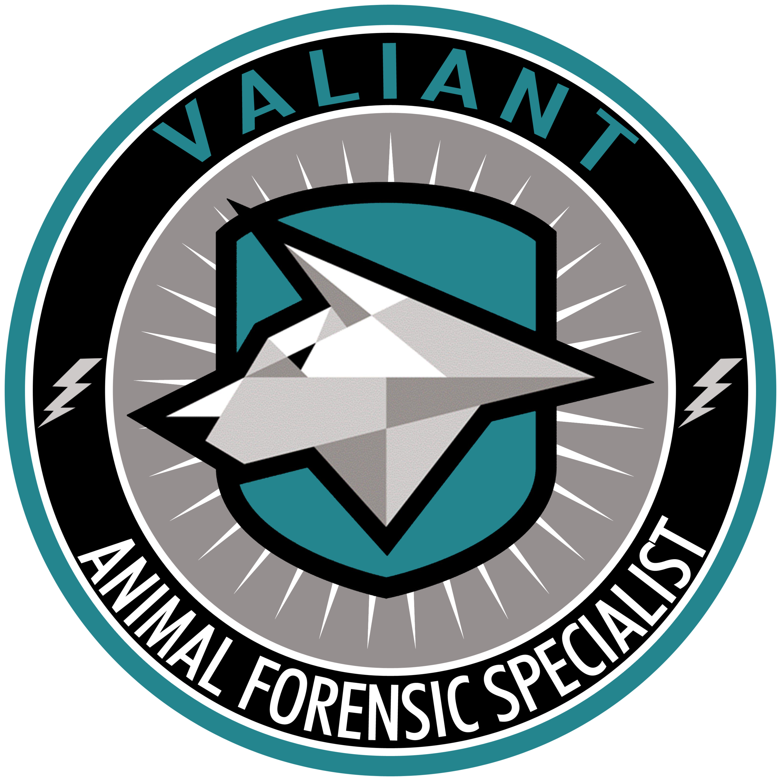 VARR Forensic.png
