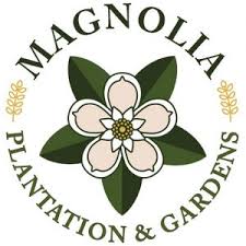 Magnolia.jpg