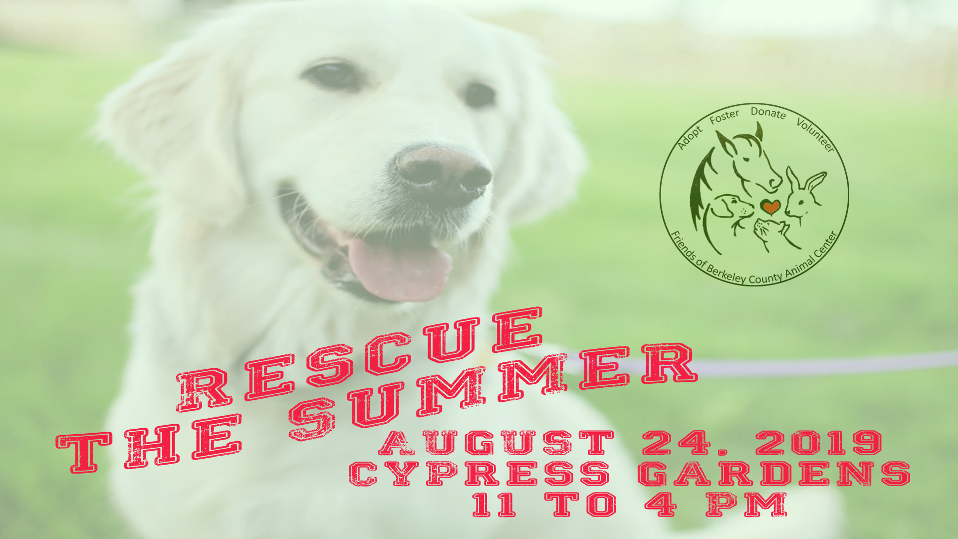 First Annual Rescue the Summer