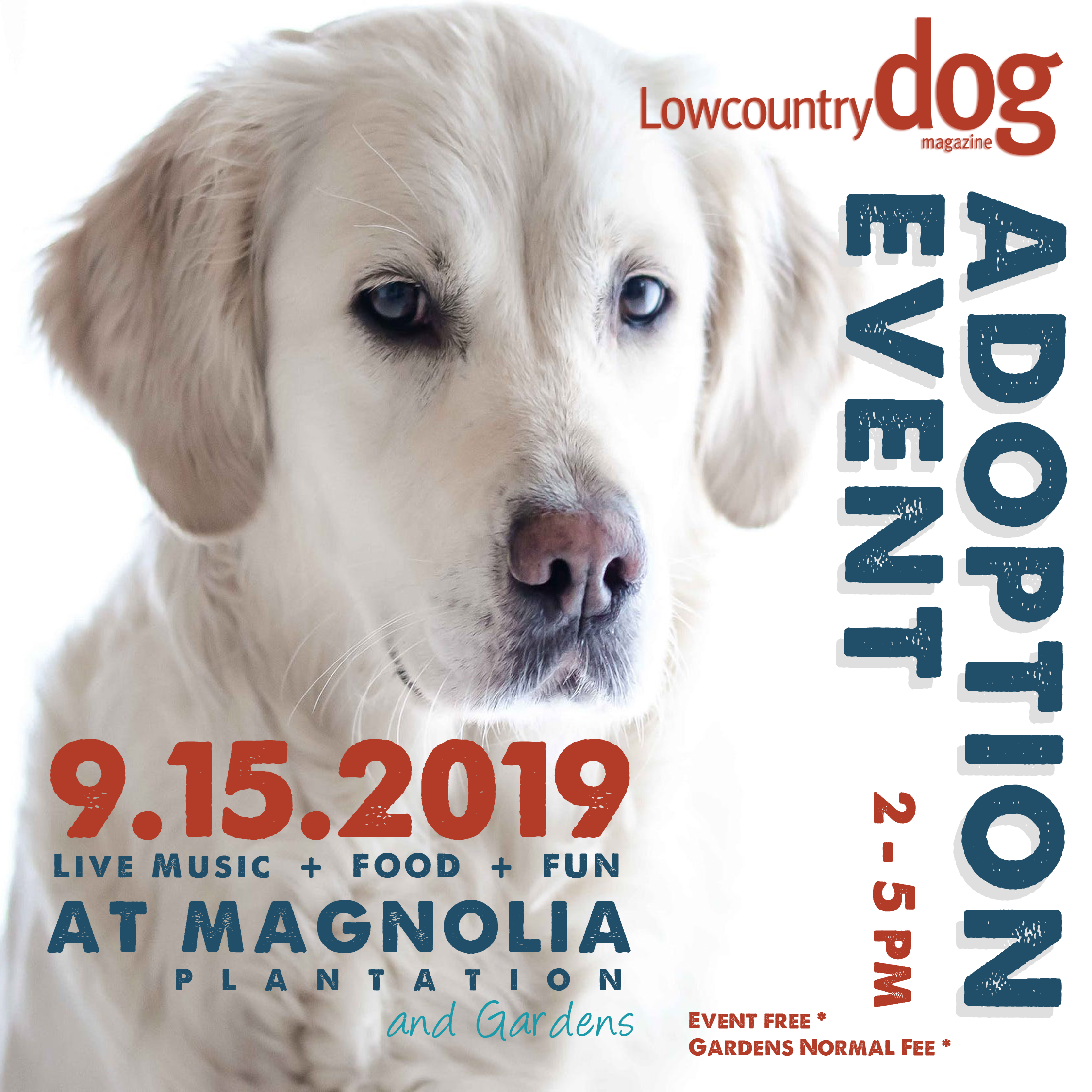 Lowcountry Dog Adoption Event