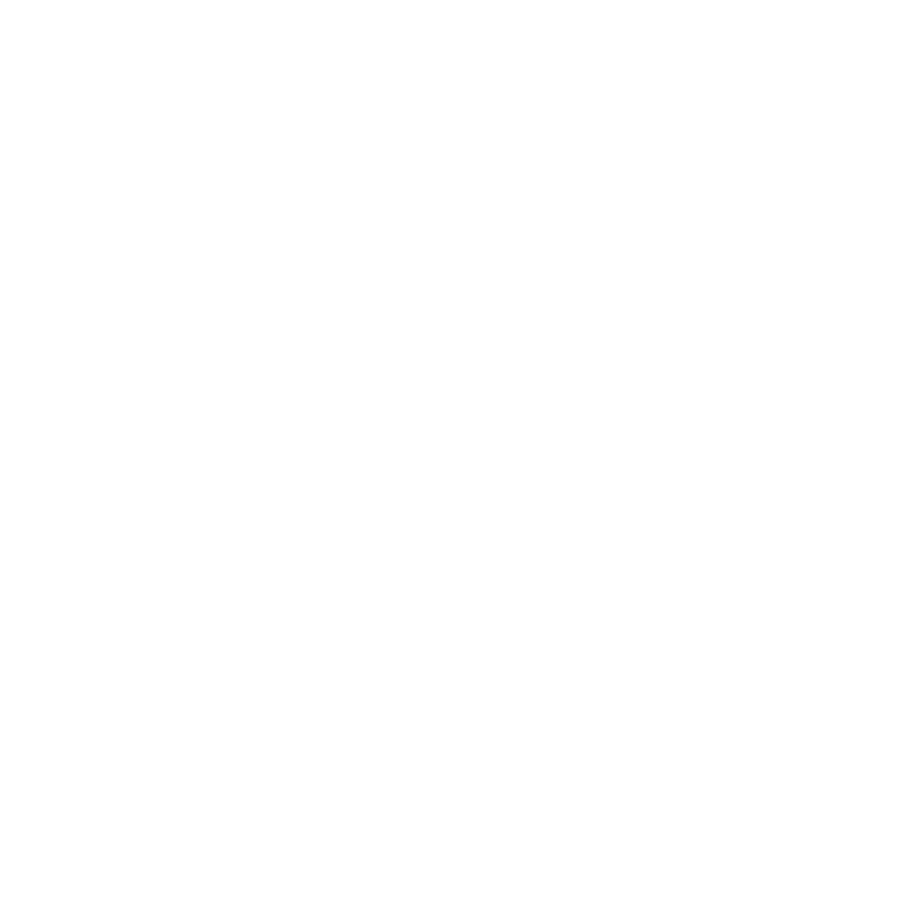 lowcountry dog lowcountry dog