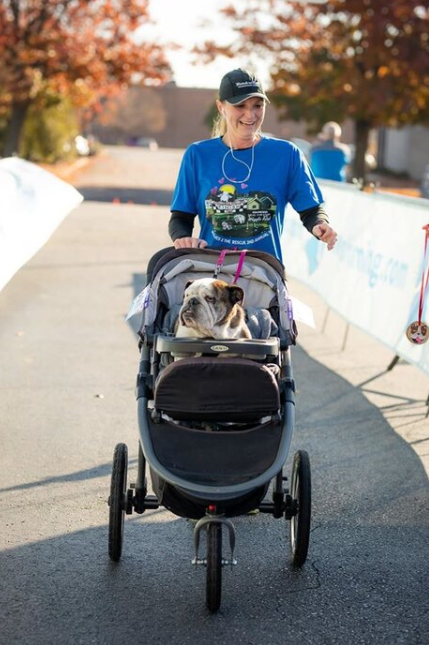 Bulldog Day Comes to The Citadel in March