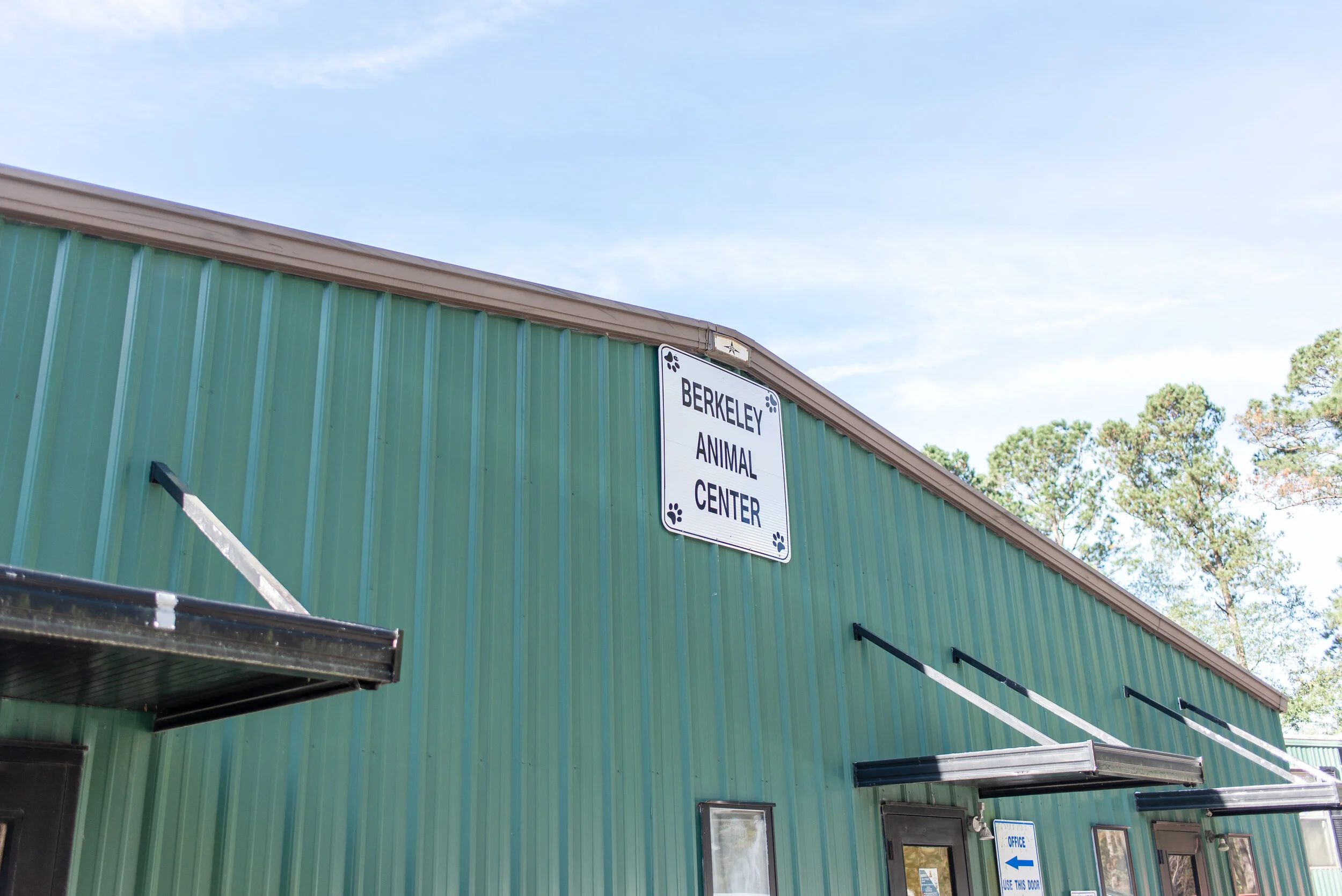 Shelters Across the Lowcountry Respond to COVID19 — Lowcountry Dog