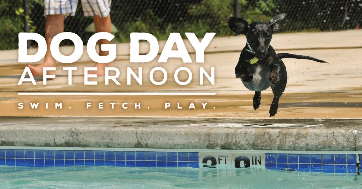 Dog Day Afternoon