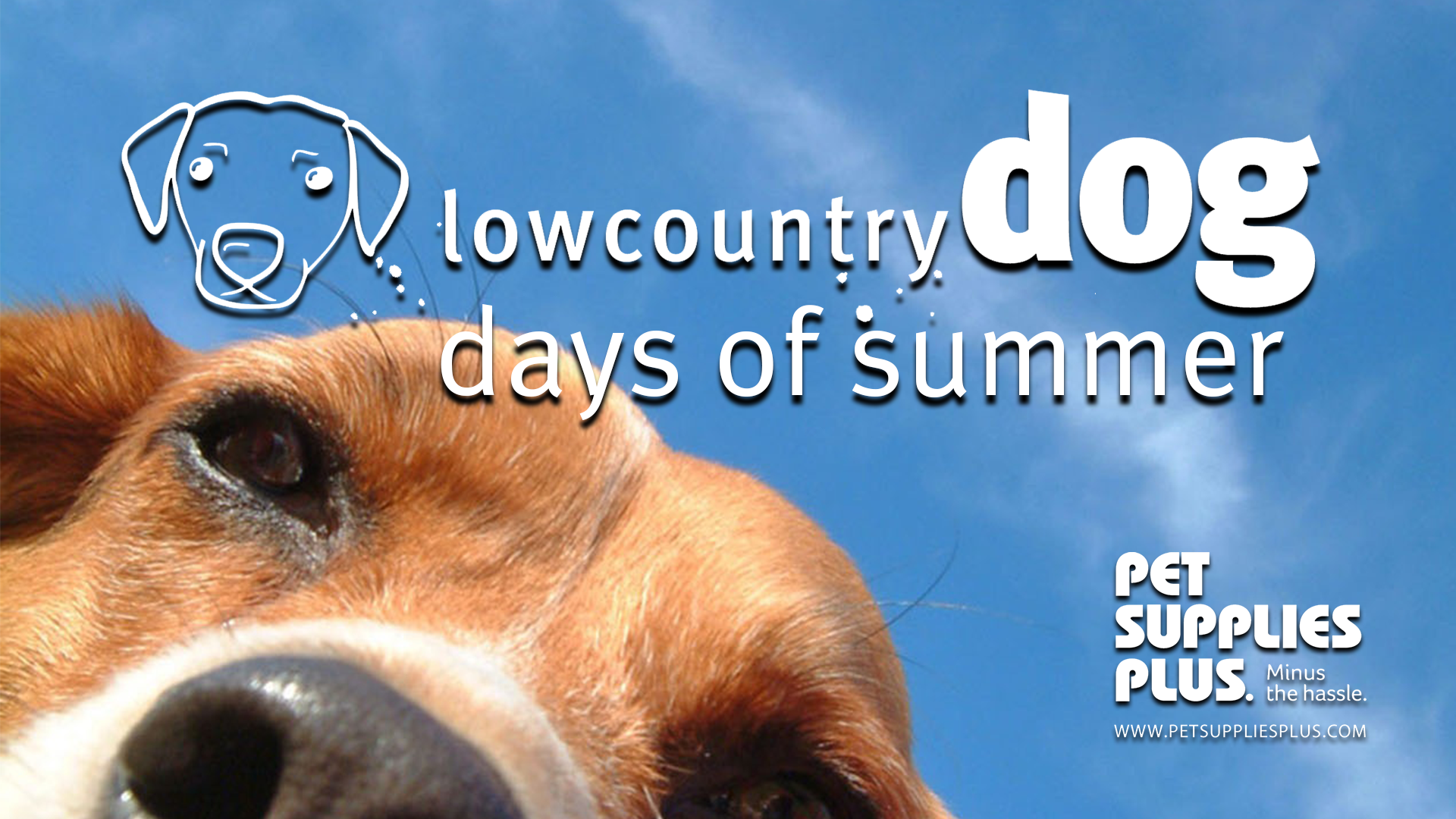 Lowcountry Dog Days of Summer