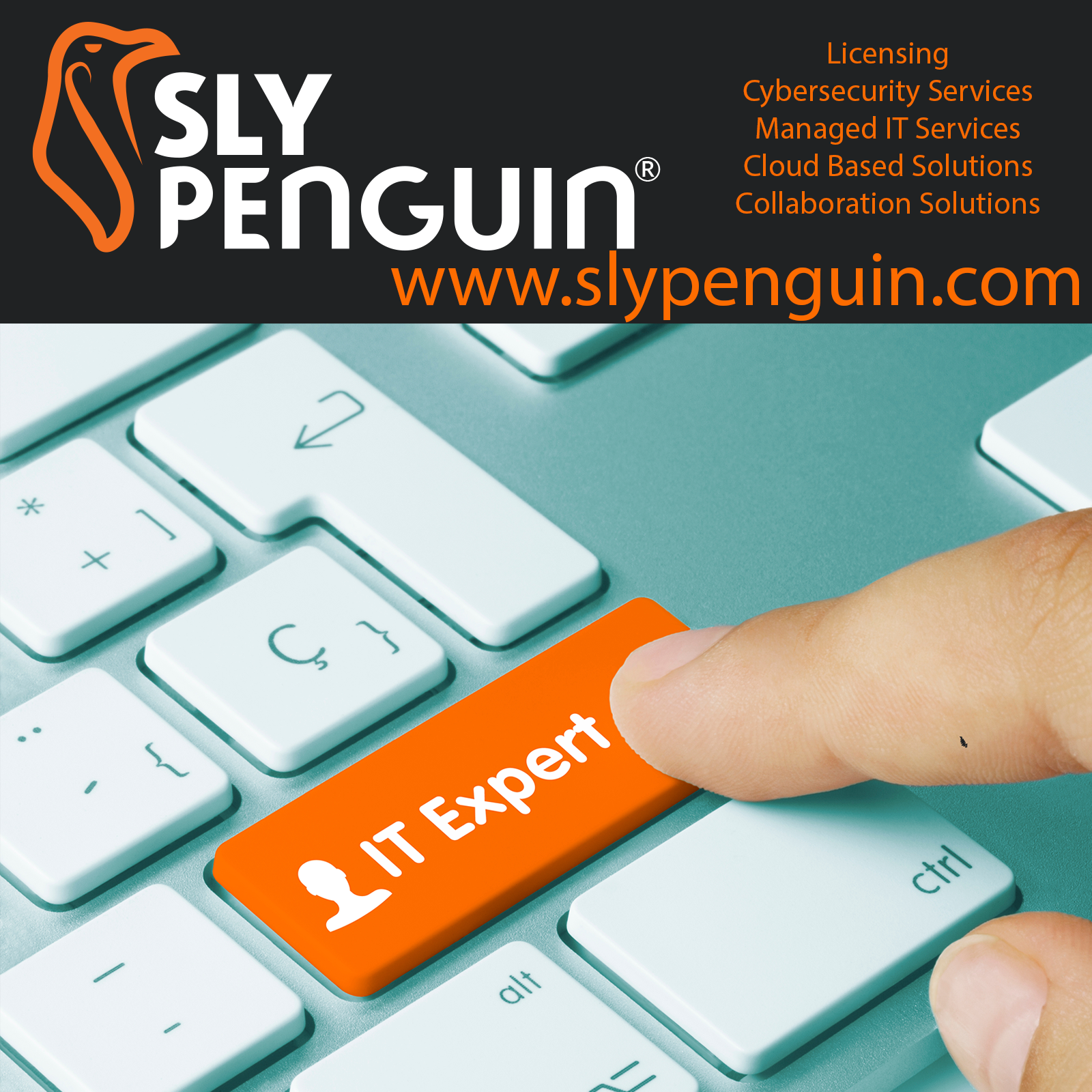 Sly Penguin Social.png