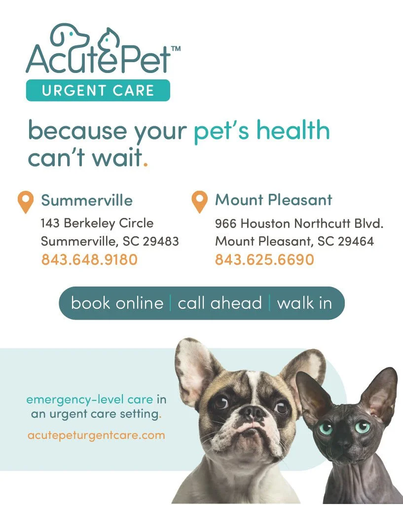 Summerville &amp; Mt Pleasant