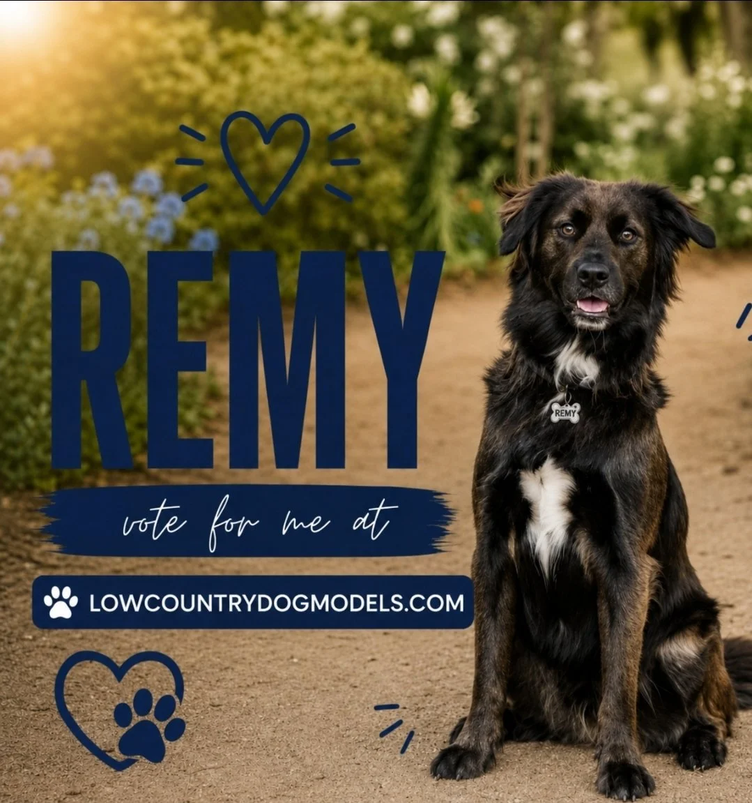 Remy.jpg