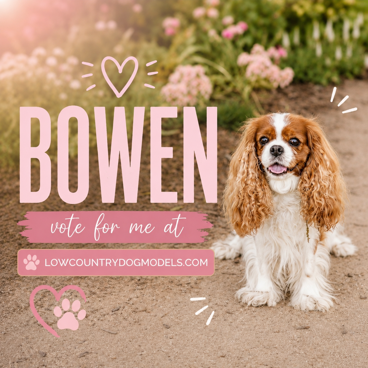 Bowen.png