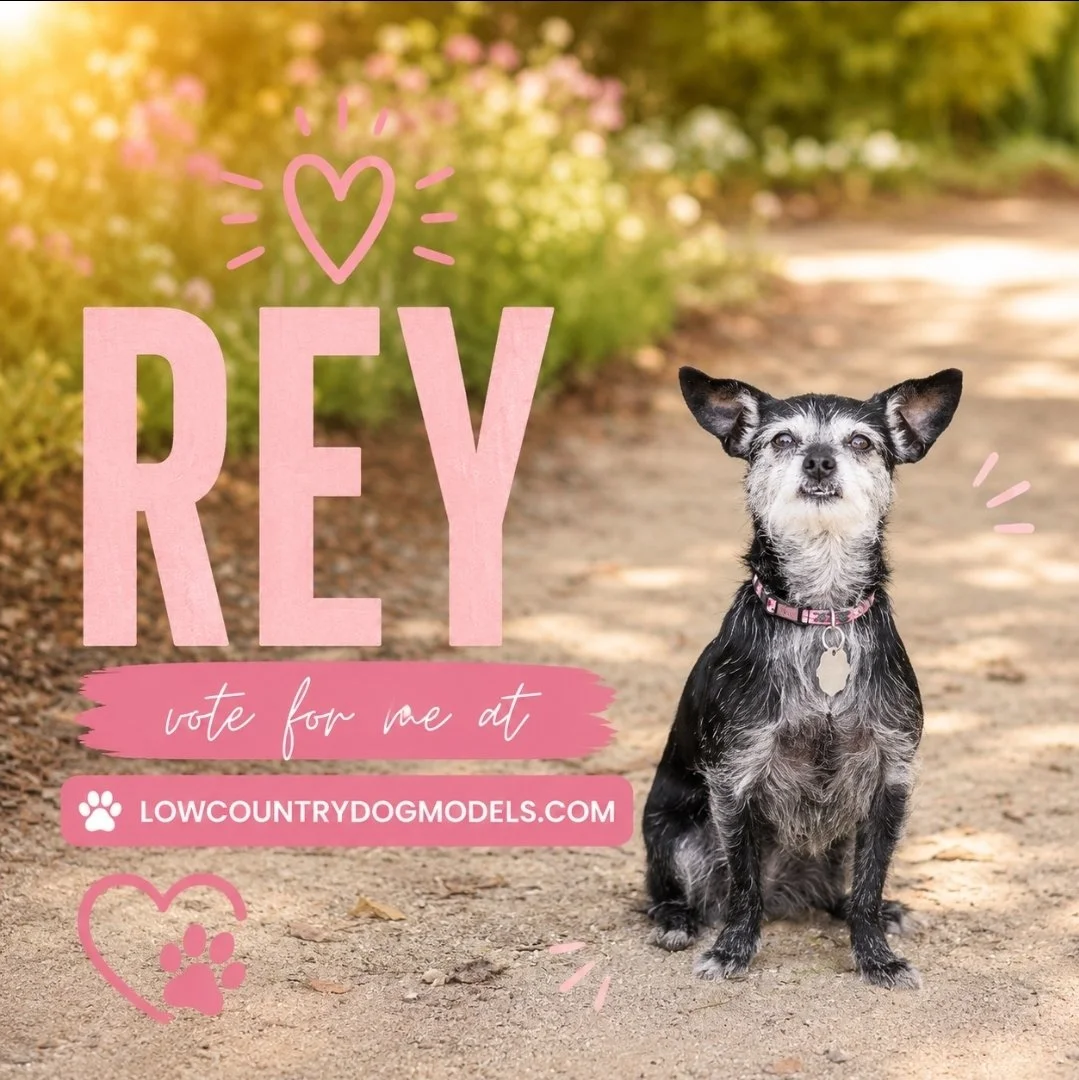 Rey.jpg