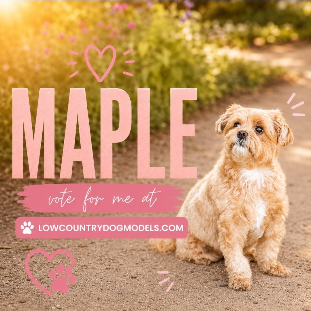 Maple.jpg