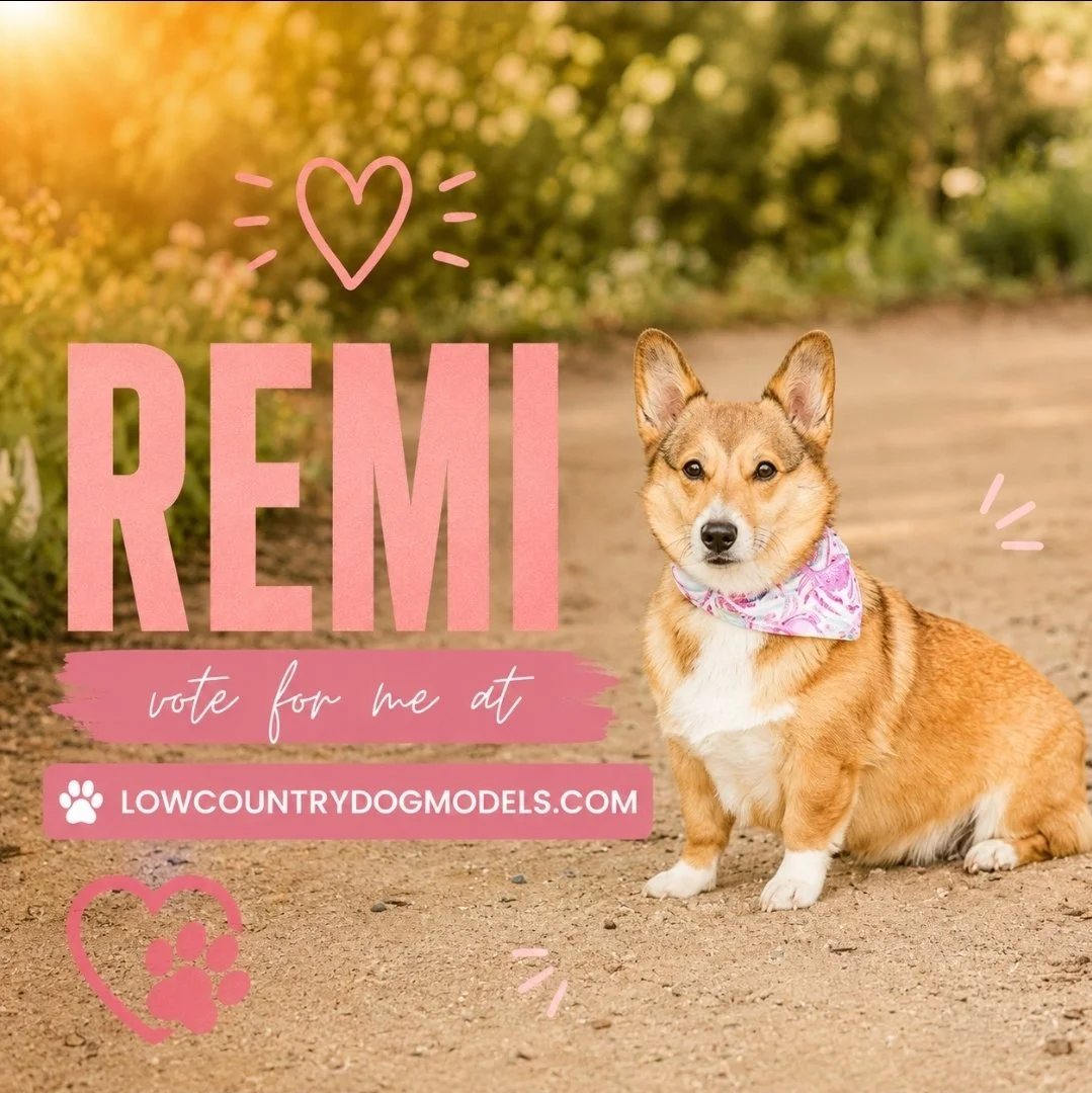 Remi.jpg