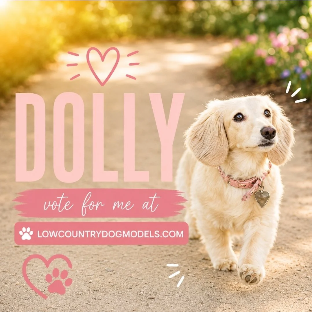 Dolly.jpg
