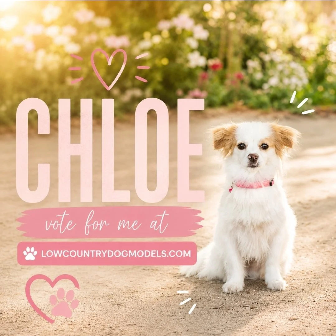 Chloe.jpg