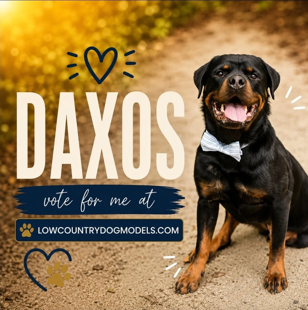 Daxos.jpg