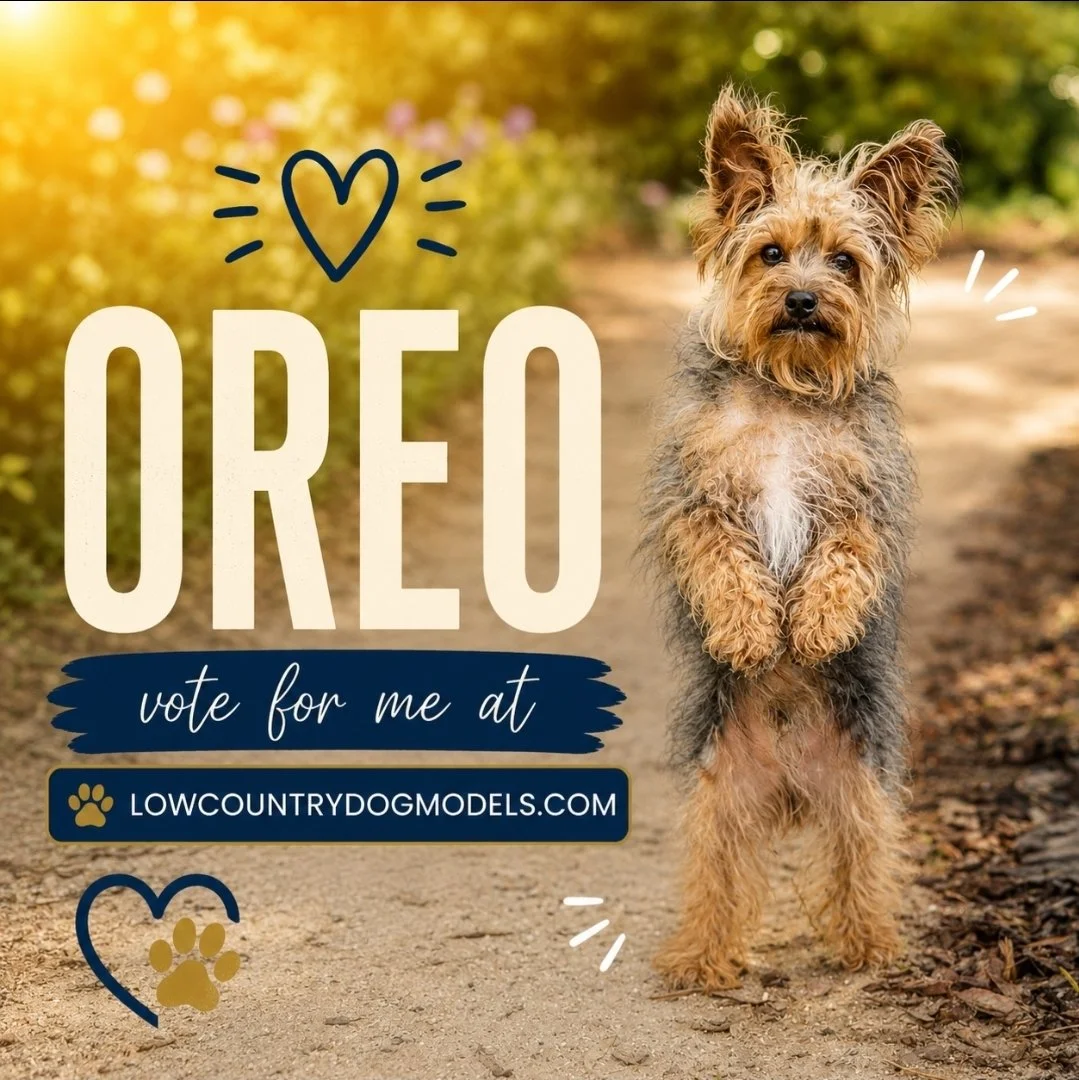 Oreo.jpg