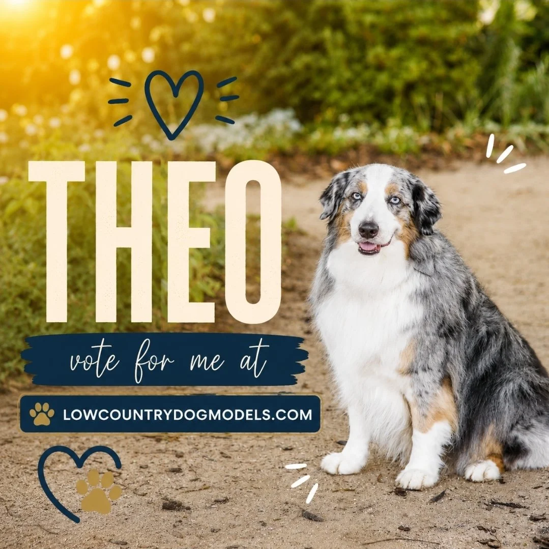 Theo.jpg