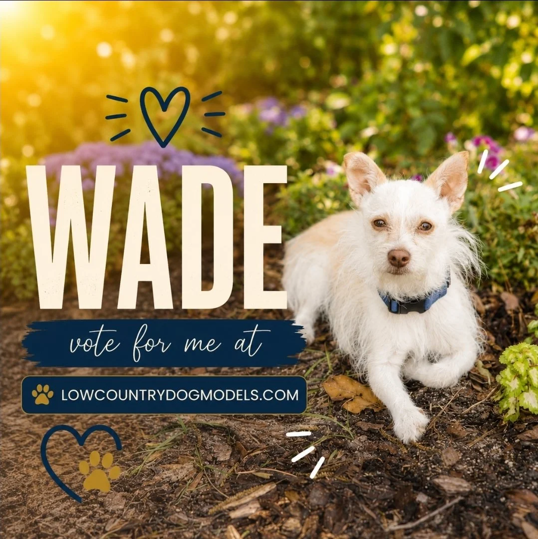 Wade.jpg