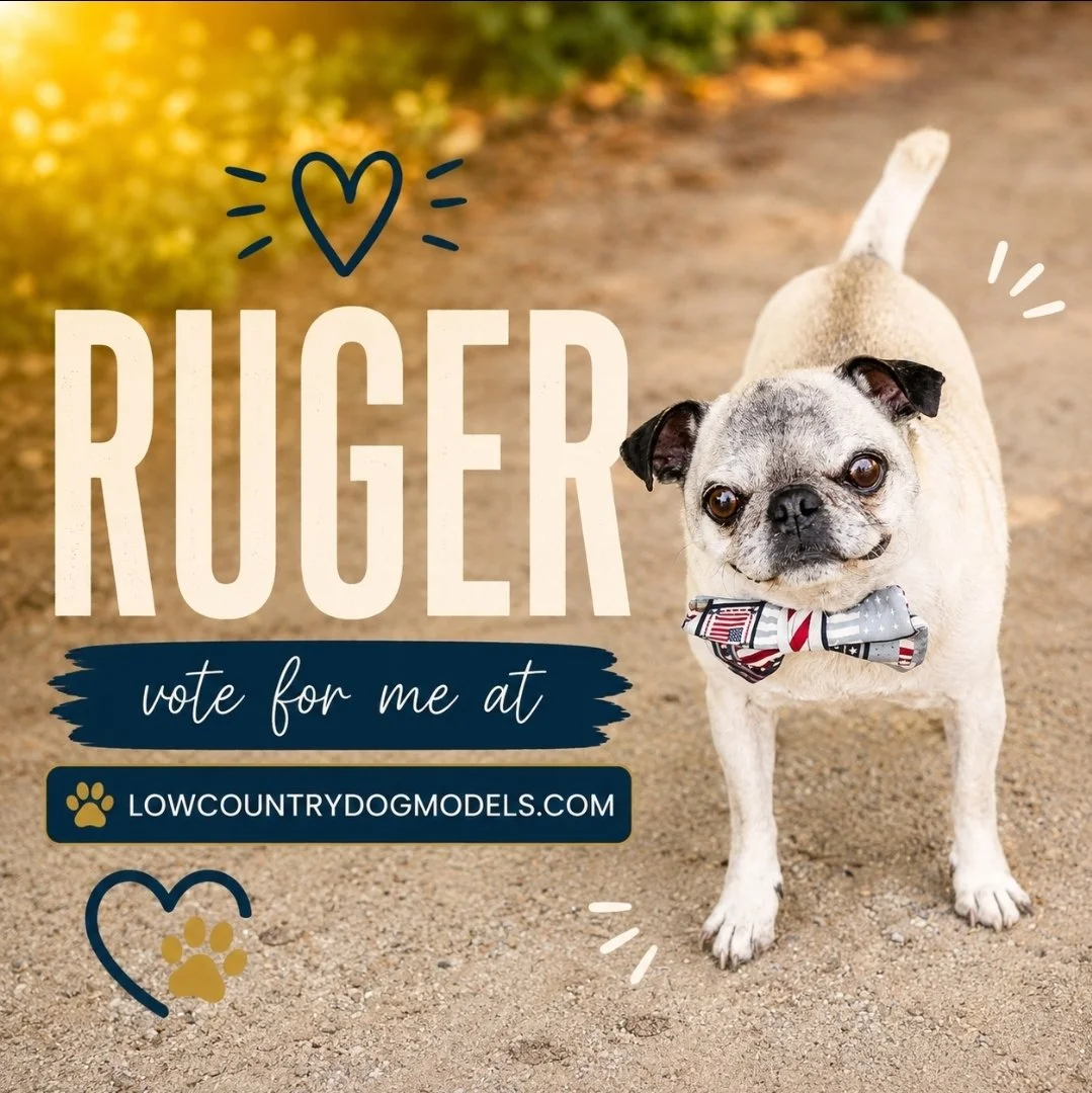 Ruger.jpg