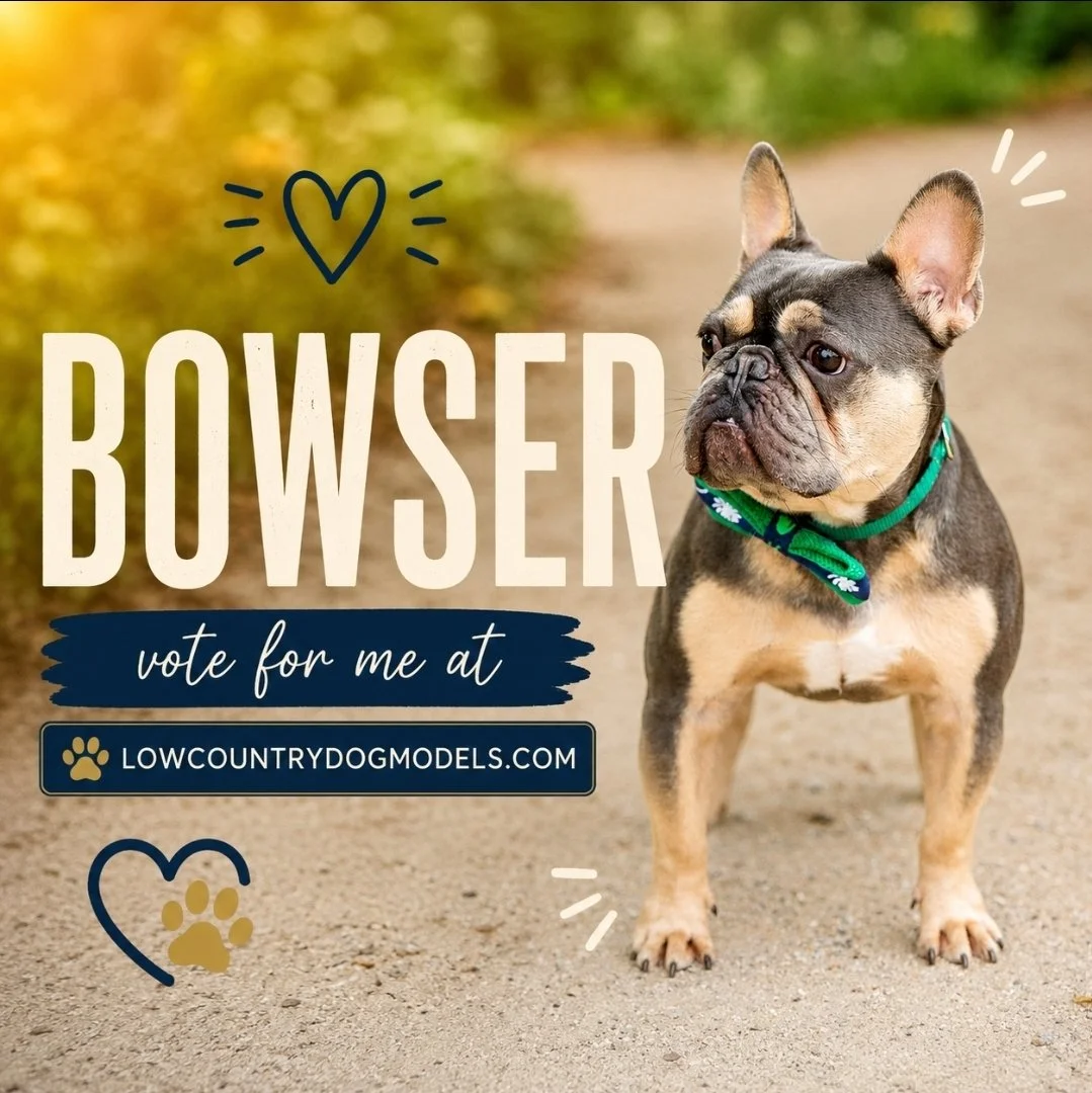 Bowser.jpg
