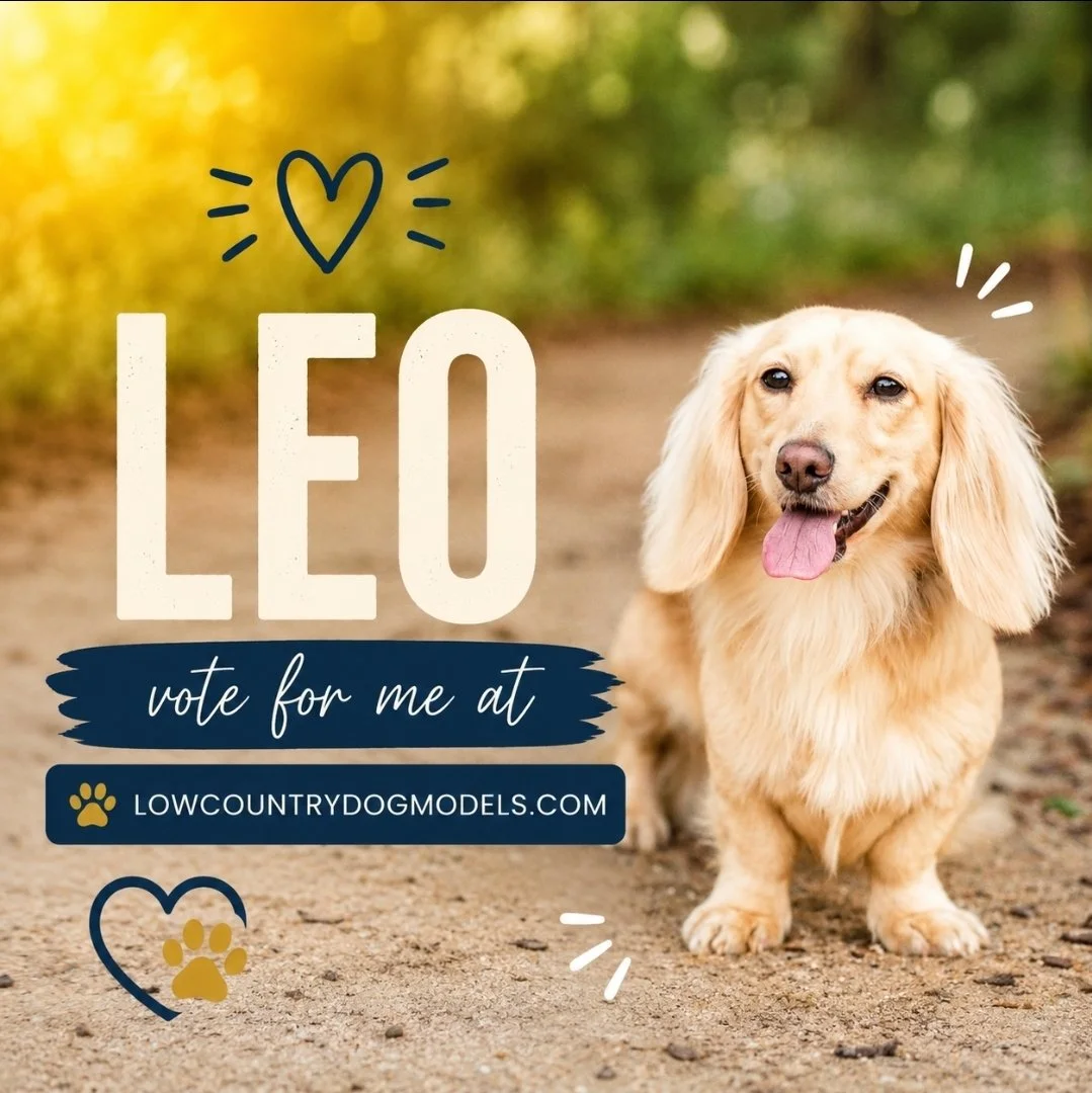 Leo.jpg