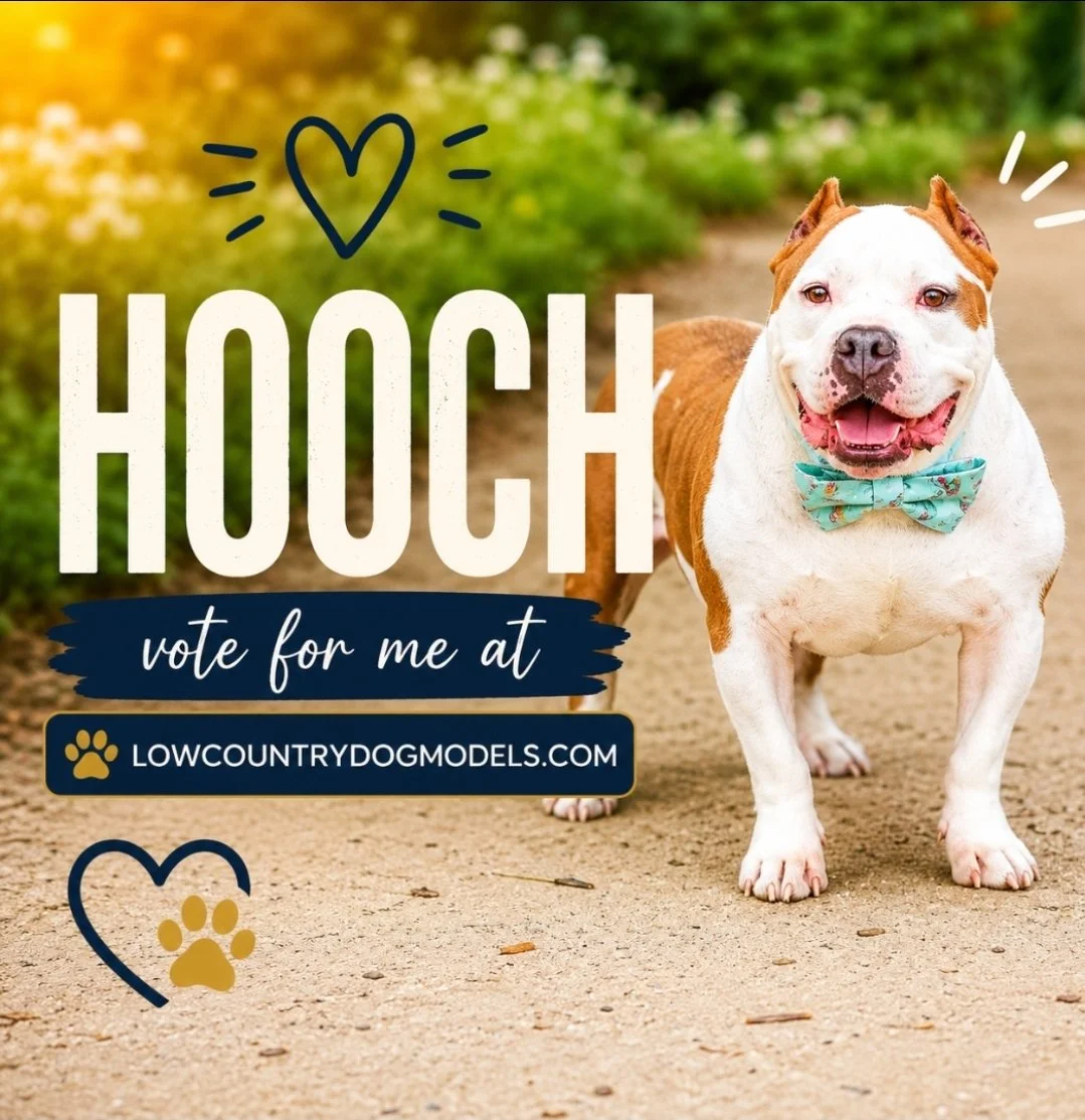 Hooch.jpg