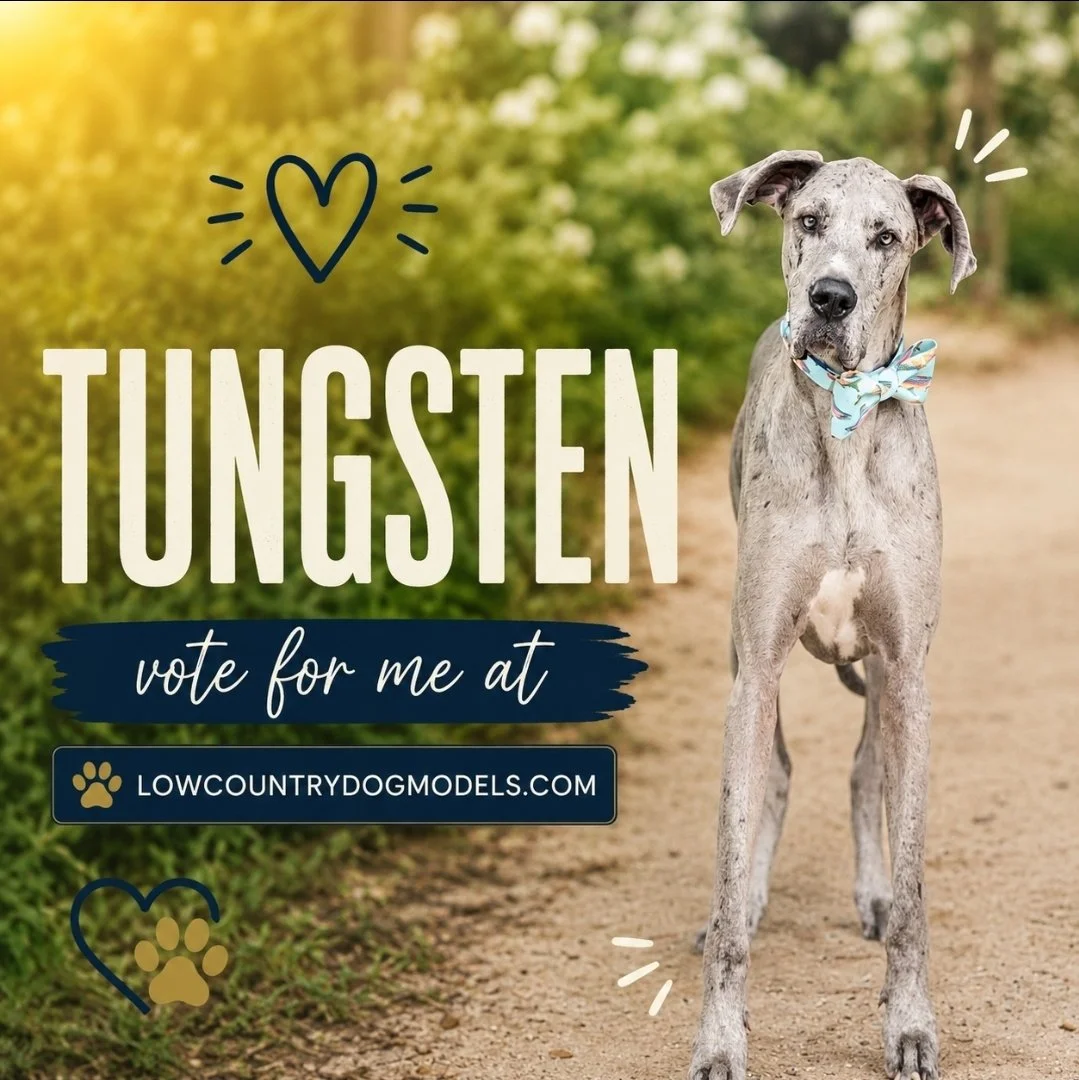 Tungsten_.jpg
