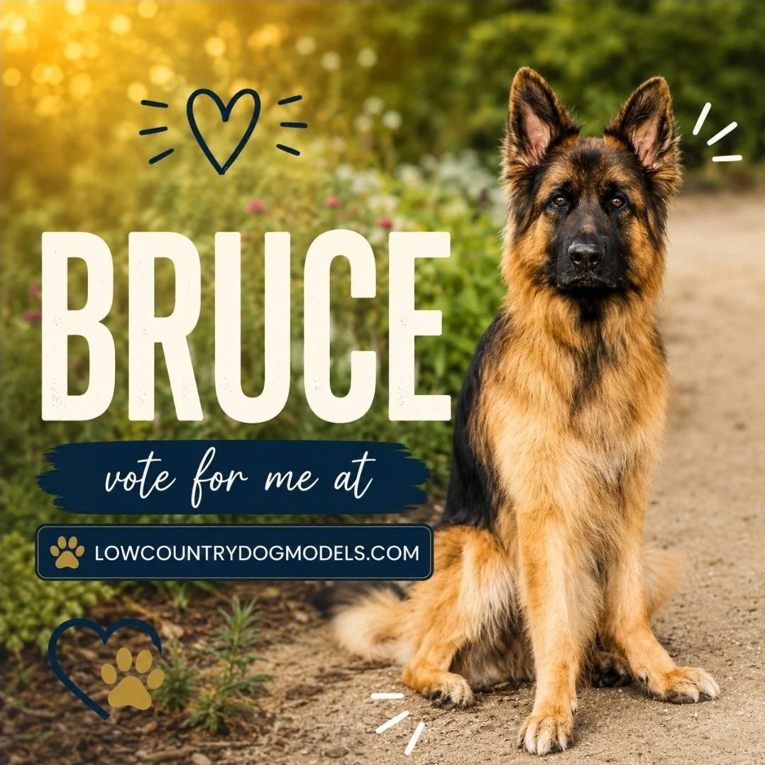Bruce.jpg