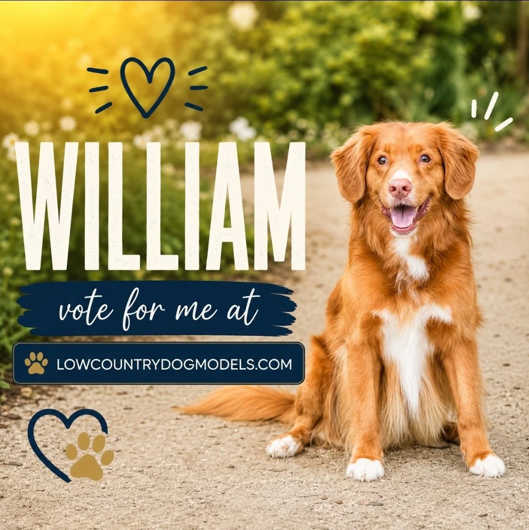 William.jpg