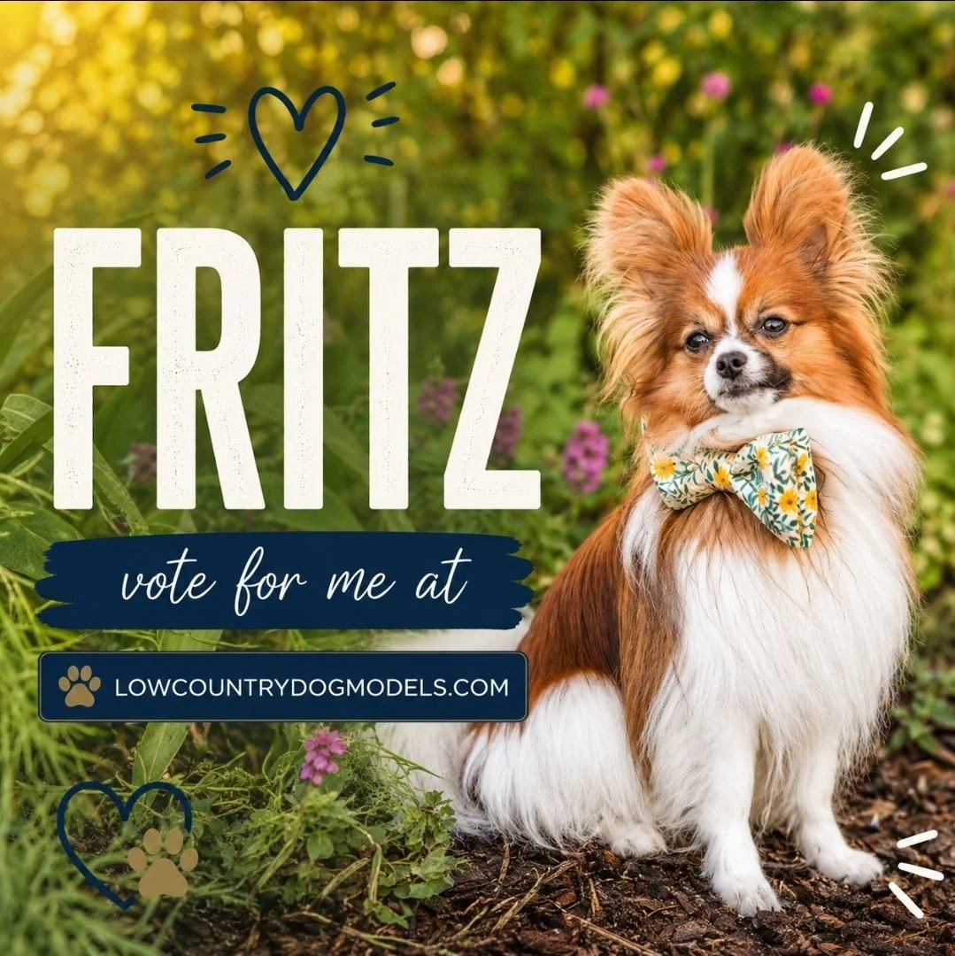 Fritz.jpg