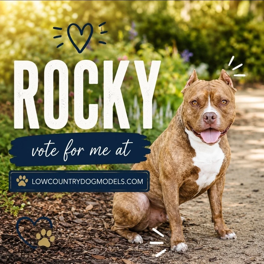 Rocky.jpg