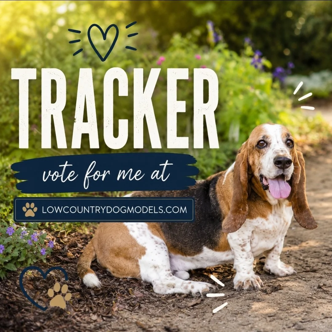 Tracker.jpg