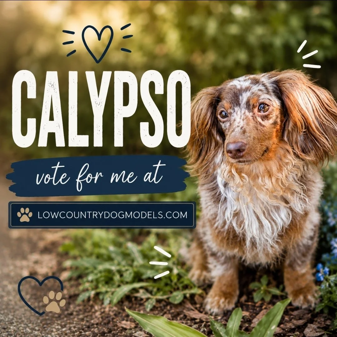 Calypso.jpg