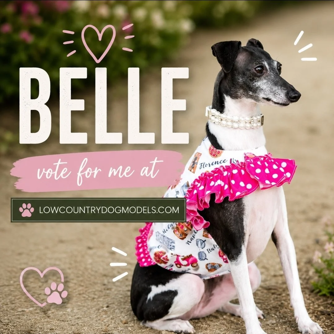 Belle.jpg