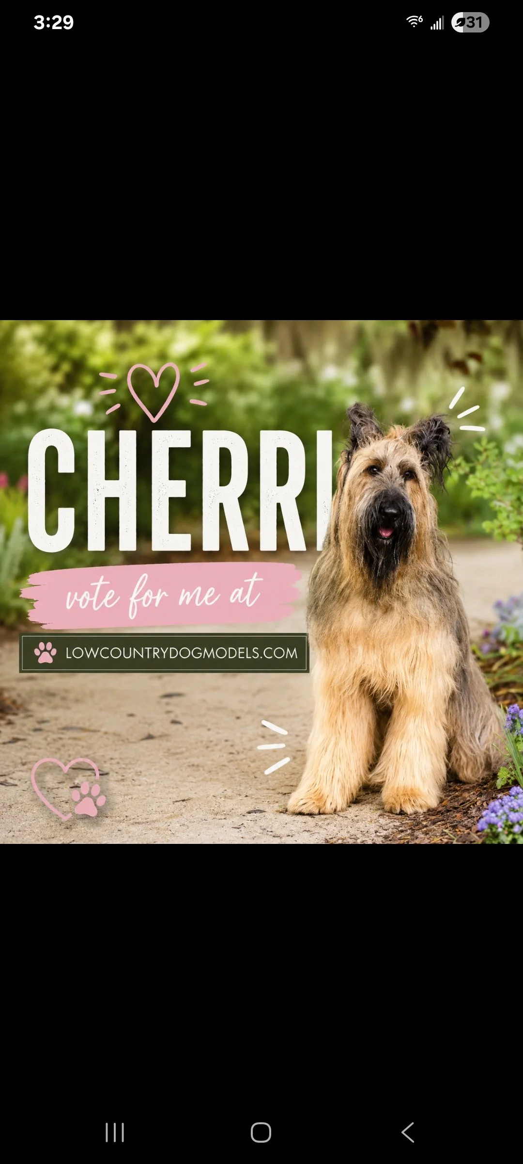 Cherri.jpg