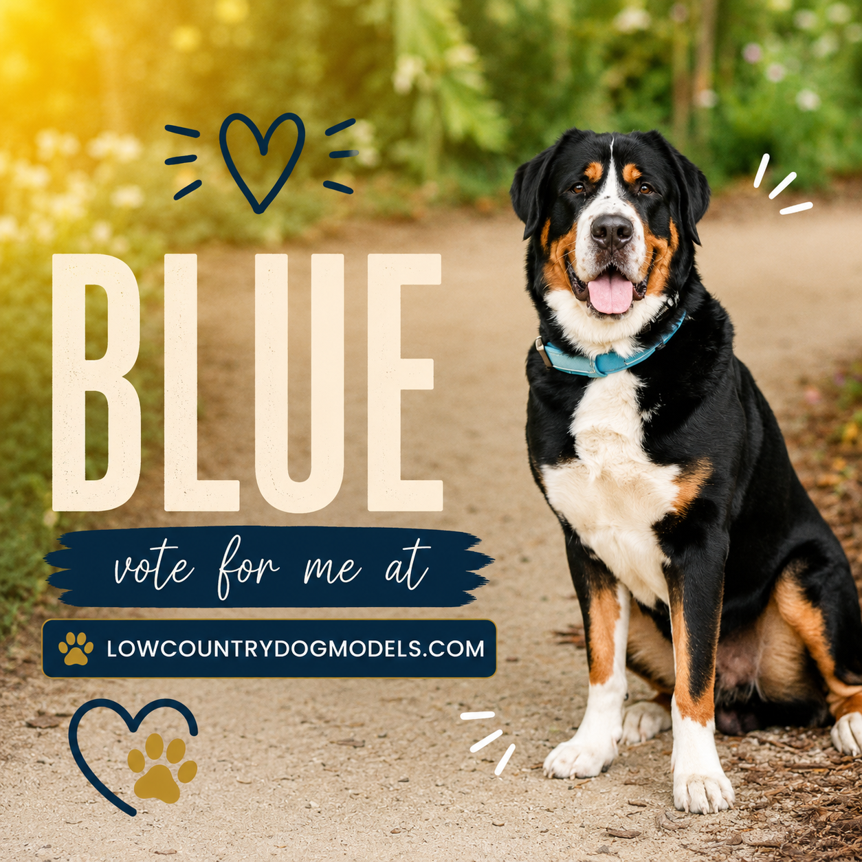 Blue.png